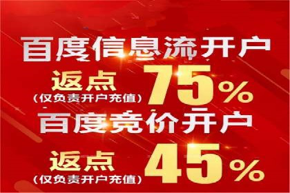 竞价排名中关键词出价策略的案例探讨